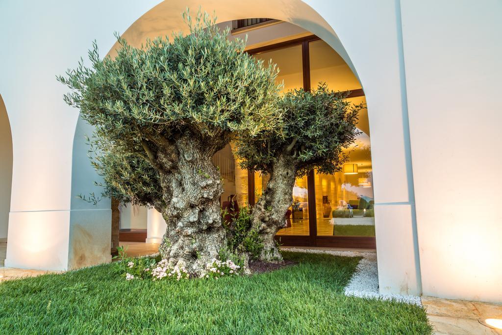Masseria Martellotta 팔라지아넬로 외부 사진